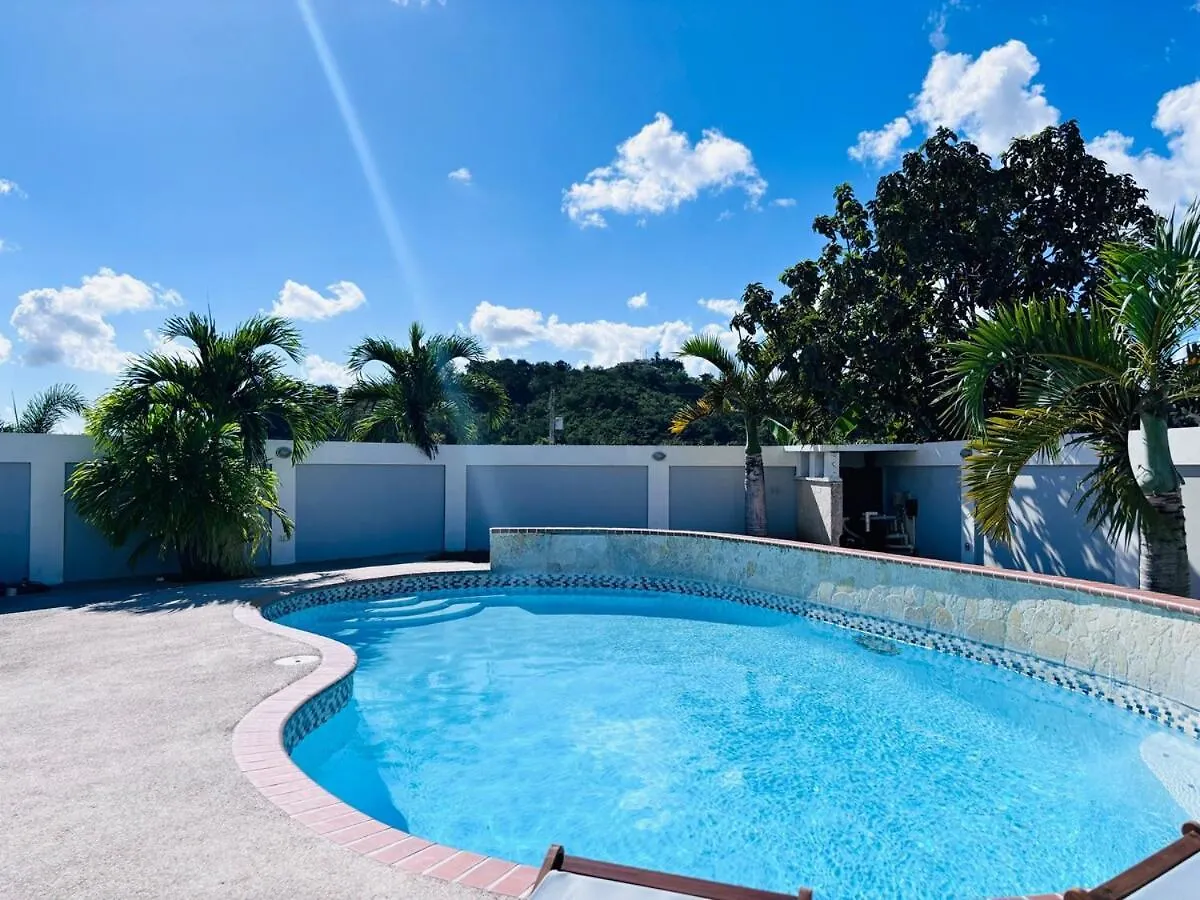 Beautiful And Large With Private Pool With Solar Panels Villa Coamo